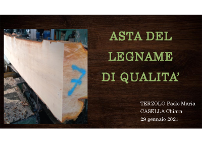 La prima asta del legname di pregio del Piemonte (Terzolo – Casella)