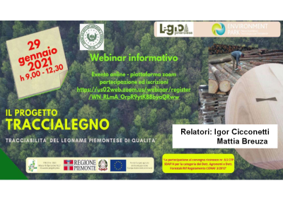 Presentazione progetto Traccialegno (Cicconetti)