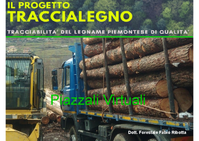 Piazzali virtuali (Ribotta – Gabutti)