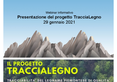 Opportunità di sviluppo locale attraverso la promozione delle filiere del legno a km 0 (Dematteis)