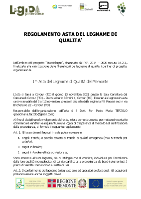 Regolamento asta