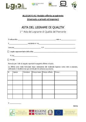 Allegato-A1