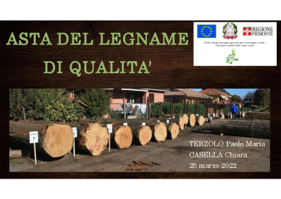 Presentazione Asta Legname di qualità – Terzolo