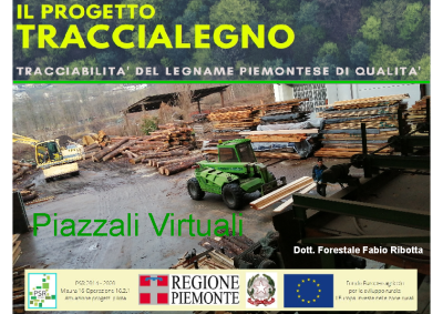 Presentazione Piazzali virtuali – Ribotta
