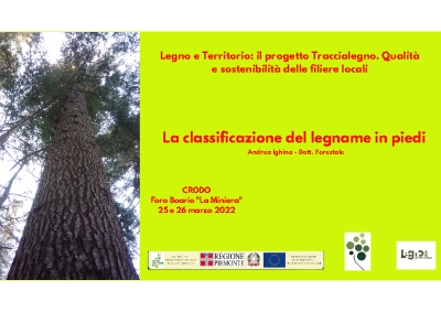 Presentazione classificazione legname – Ighina
